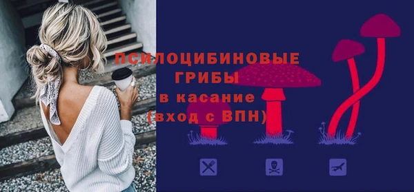 крисы Ладушкин