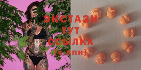 винт Галич
