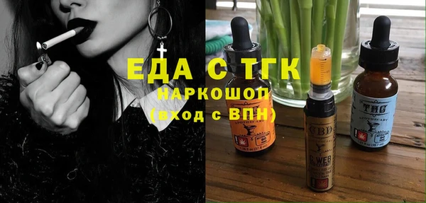 винт Галич