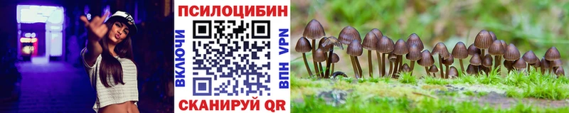 где найти наркотики  Межгорье  OMG сайт  Псилоцибиновые грибы мицелий 