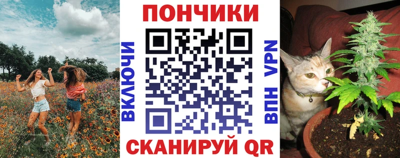 как найти закладки  Межгорье  MEGA вход  Марихуана Amnesia 